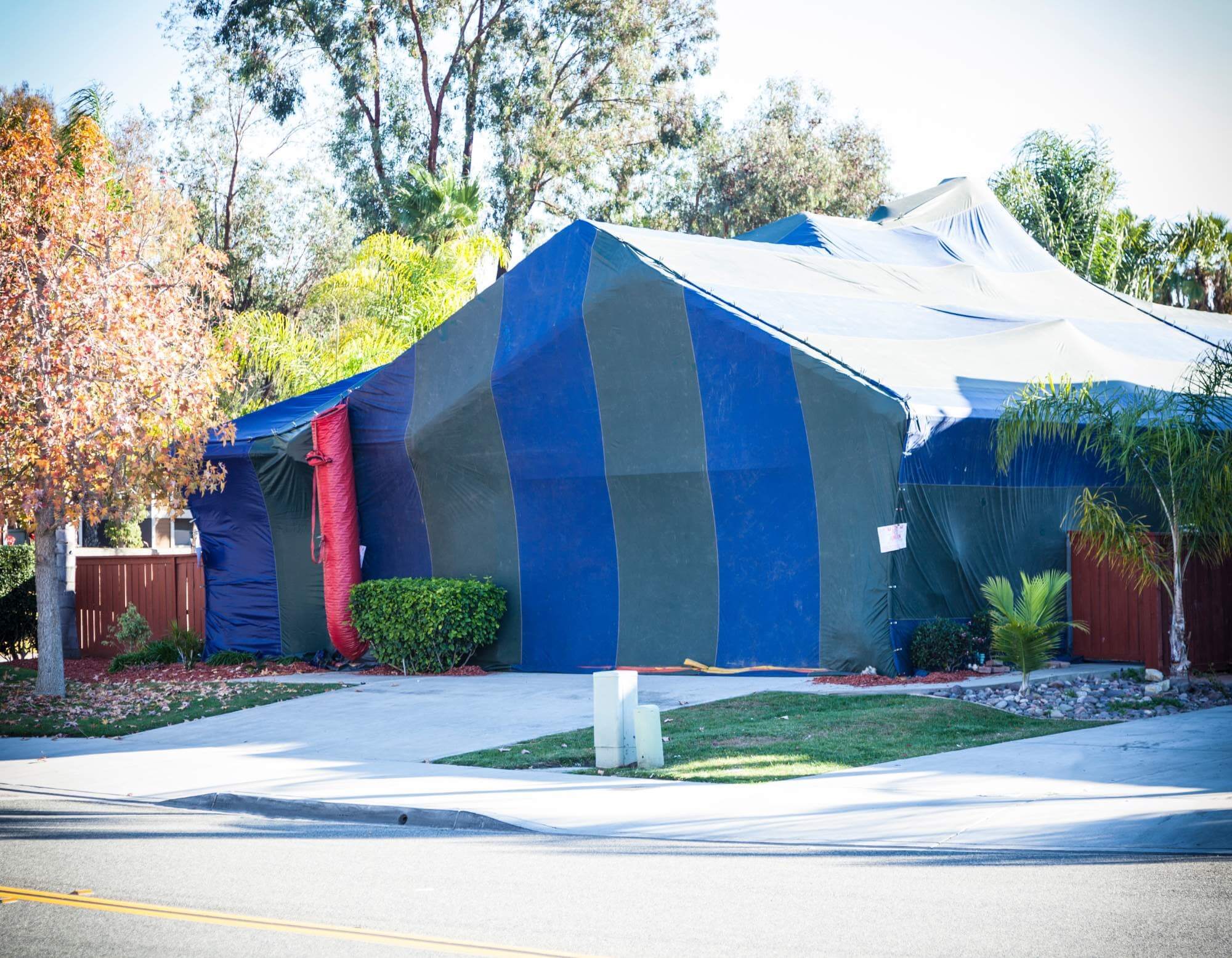 Tented residential home being fumigated for termite infestation